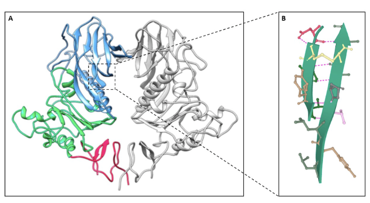 A Protein folding robot driven by a self taught agent